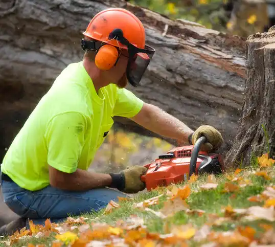 tree services Tekamah